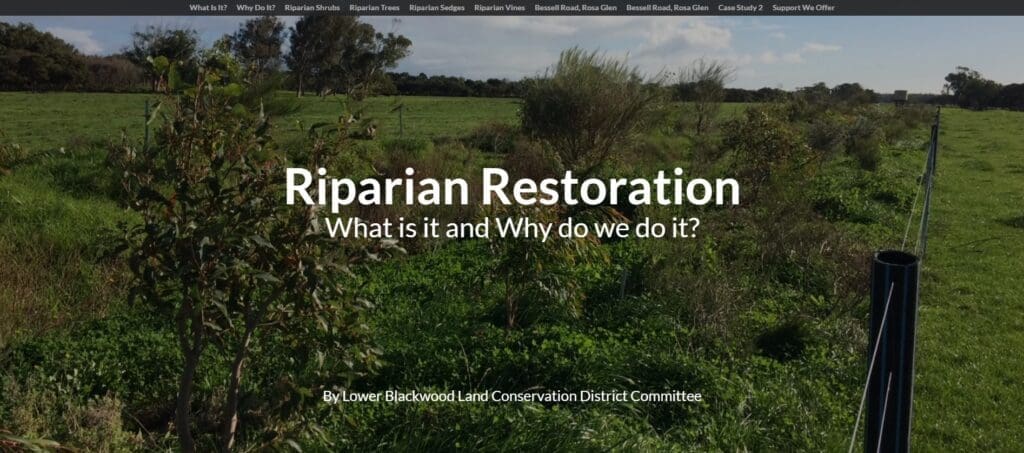 Riparian Restoration