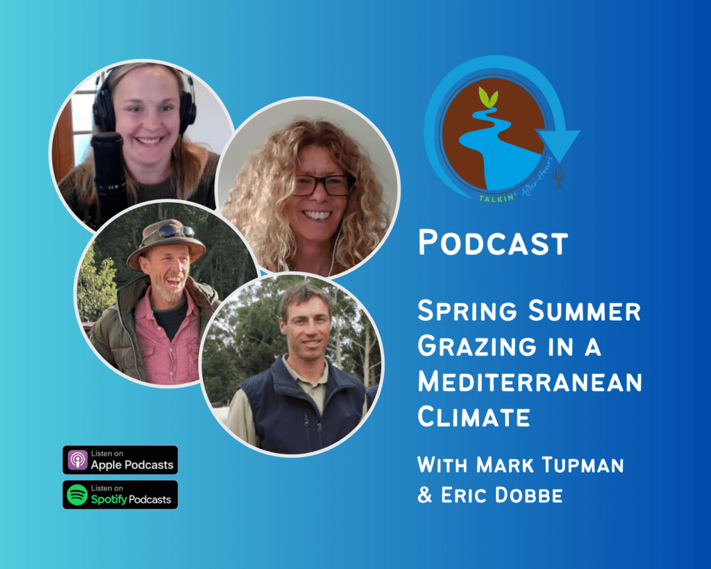 Talkin Spring Summer Grazing