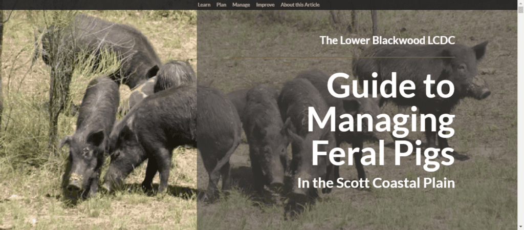 Screen Shot 12 03 24 at 04.08 PM 1