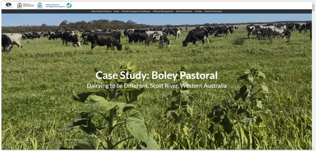 Screen Shot 12 12 24 at 01.37 PM