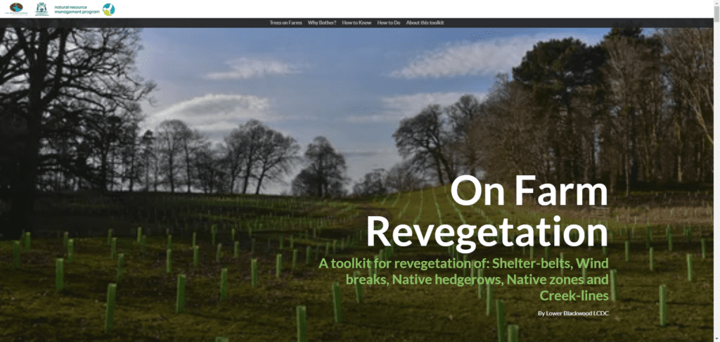 Screen Shot 12 12 24 at 03.40 PM