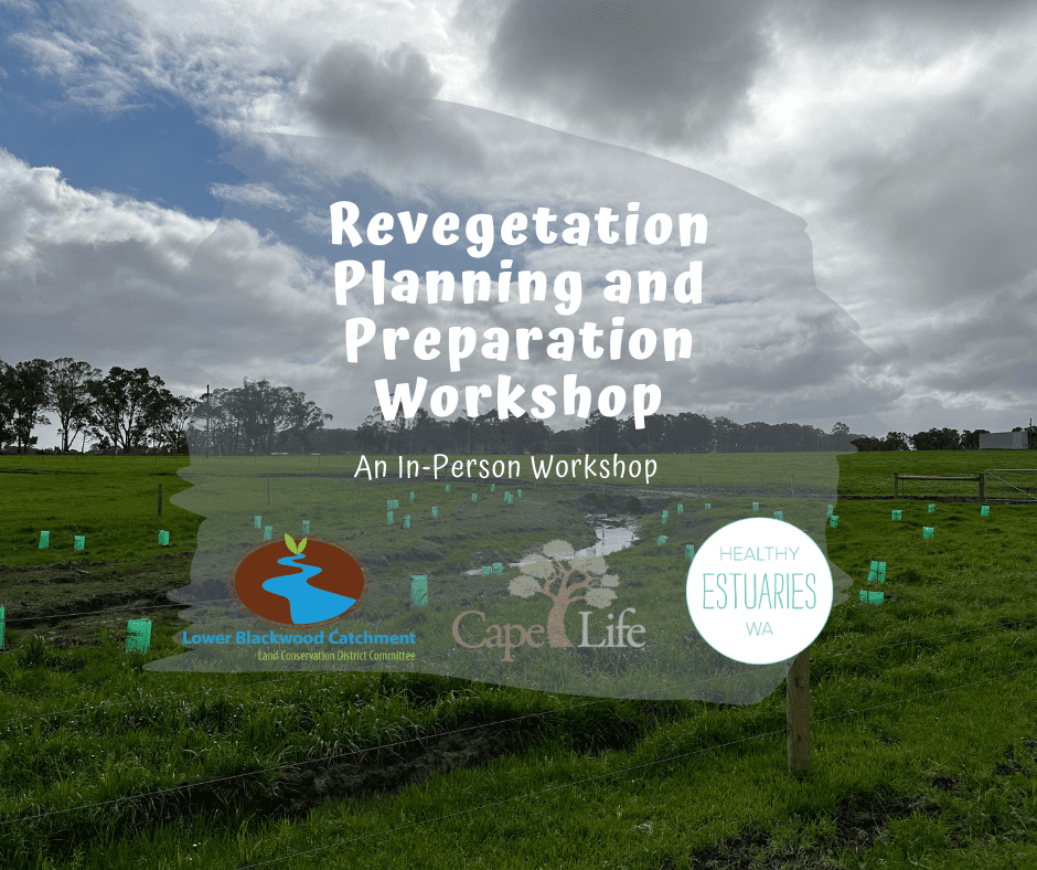 PostPlanting Care and Maintence Workshop 3