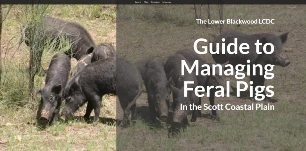 Screenshot 2024 10 17 120214 1024x506 1