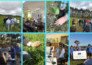 collage of LCDC activities2 e1738735244240