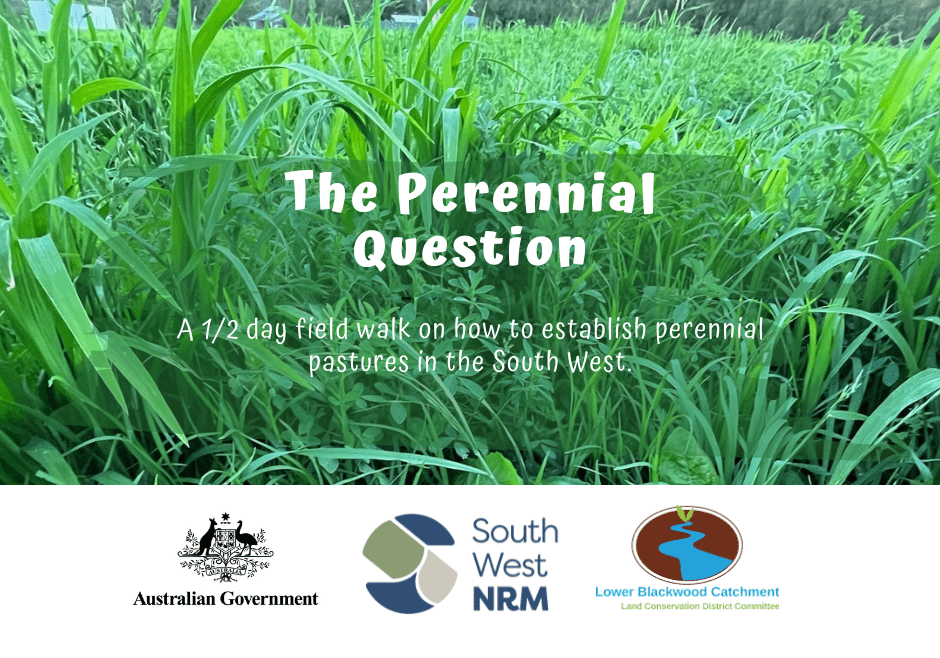 The Perennial Question Tile