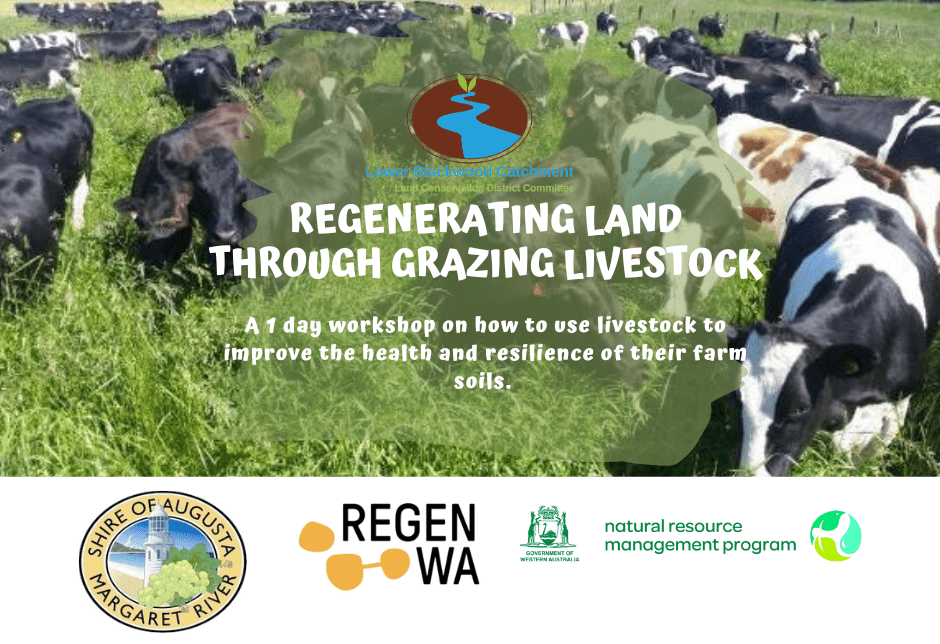 Regenerative Grazing Tile 1