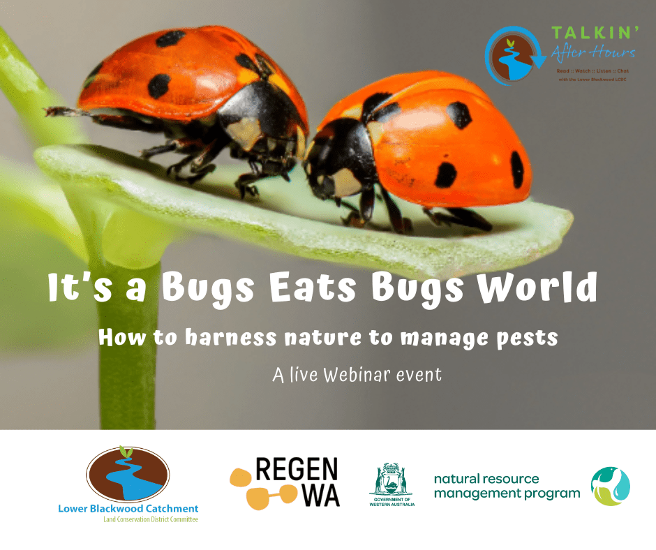 Its a Bugs Eat Bugs World Tile 1