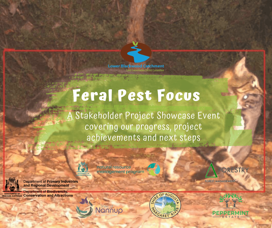 Feral Pest focus