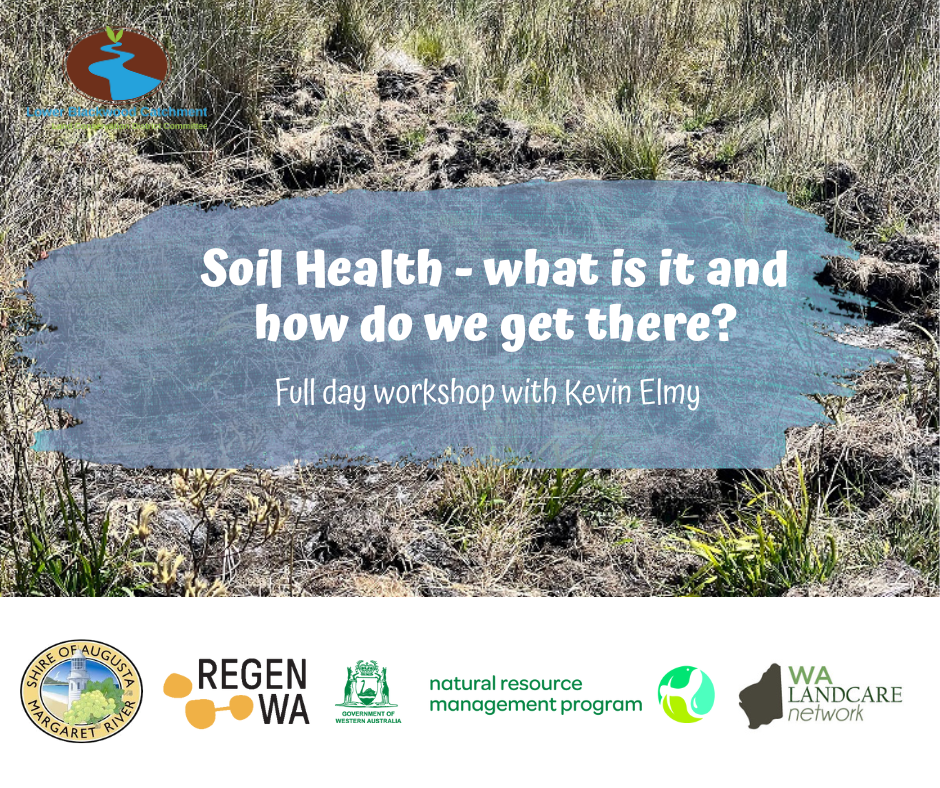 Kevin Elmy 12 Feb FB Tile 2