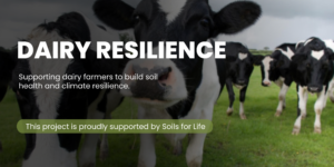 Dairy Resilience