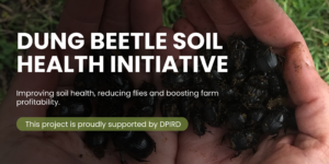 Dung Beetle Soil Health Initiative
