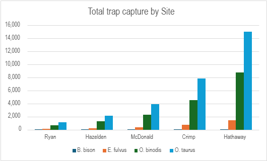 LB Total trap capture by site 1