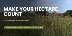 Make Your Hectare Count