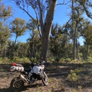 Profile photo of steve