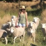 63295db33a963 bpthumb