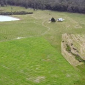 Profile photo of Rosalind and Lance Sambell