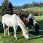 67a3e44431fe0 bpthumb