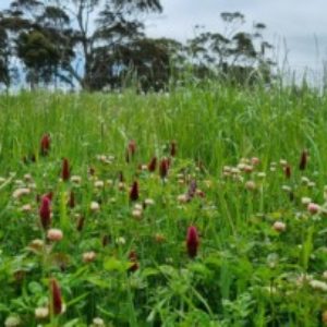 Profile photo of Stephen Barrow