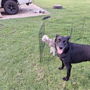 Profile photo of gemma