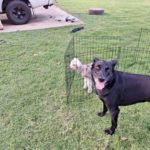 64f032fb9561f bpthumb