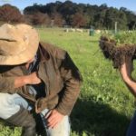 64ed5a51e5abe bpthumb