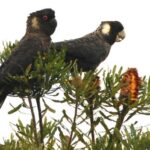 650bec36ba80e bpthumb