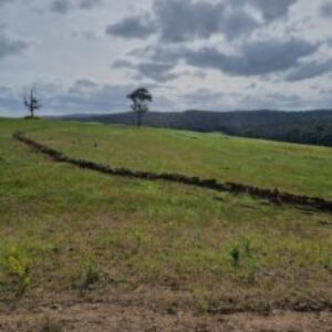 68f88639d7783 bpfull