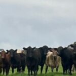 654972edefc2a bpthumb