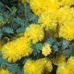 6507ef86efec6 bpfull