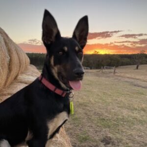 65324258b5d79 bpfull