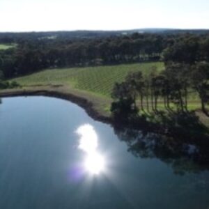 Profile photo of bex