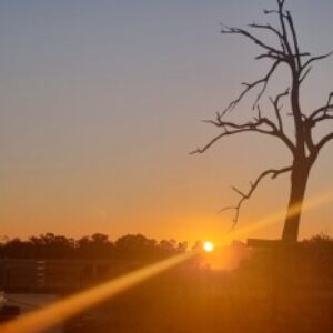 65647ca1560e9 bpfull