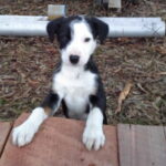 6583e697ab0fc bpthumb