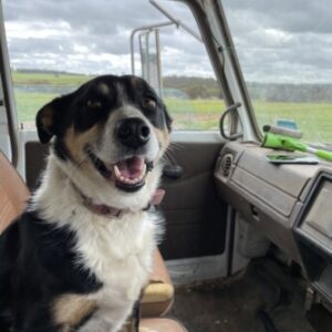 65cda4d7042a8 bpfull