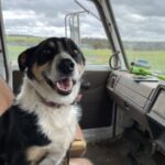 65cda4d714b39 bpthumb