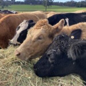 Profile photo of katery