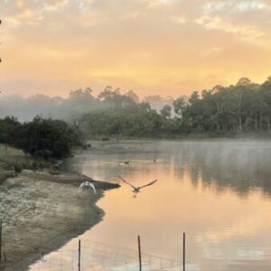 Profile photo of Geoff Constantine