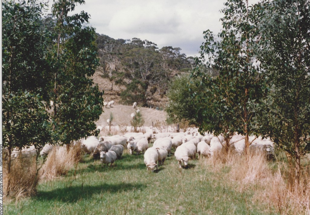 66615a3c57738 bp cover image