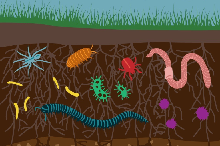 6329437d2301b bp cover image