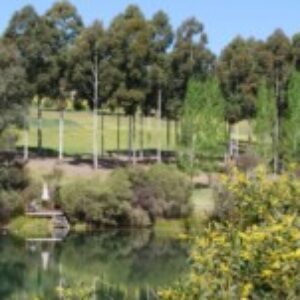 Group logo of Trees on Farms
