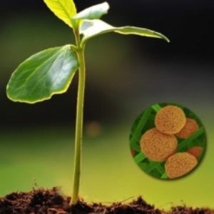 Group logo of Make Your Own Biological Inputs